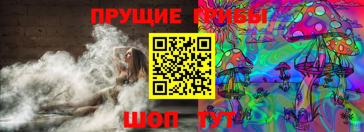 Галлюциногенные грибы прущие грибы Новомосковск