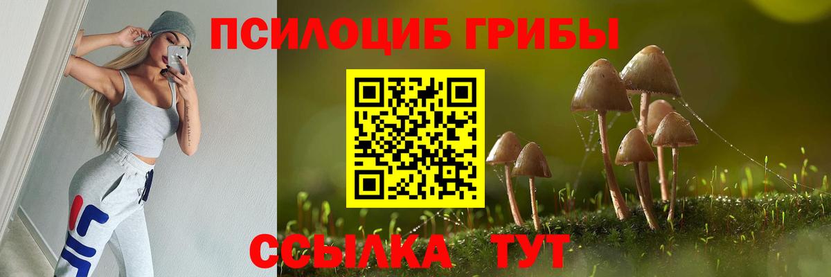 Псилоцибиновые грибы Psilocybe  Вход с VPN  Новомосковск 